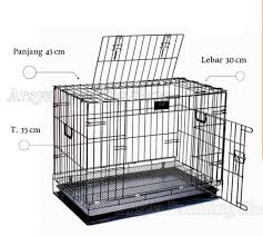 Kandang Kucing