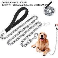 Rantai Anjing
