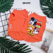 Baju Kucing