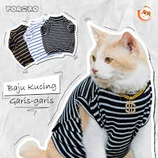Baju Kucing Kece